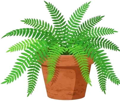 Dale vida a tu hogar: Plantas de interior que transforman espacios